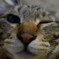 いたずら
