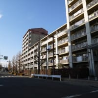 a town
