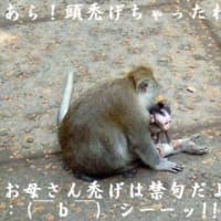 壊れかけの・・・