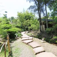 松花堂庭園その１