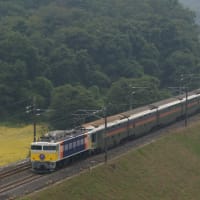 カシオペア専用機塗装