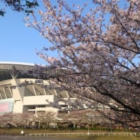 埼玉スタジアムの花々