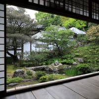 花と新緑の京都