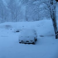 裏磐梯！桜の前に雪満開！！