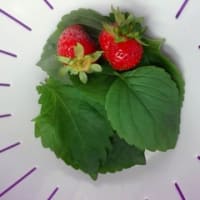毎日ぃ～(〃'▽'〃)