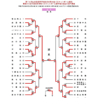 [大会結果]第76回山口県高校総合体育大会　宇部工業V2