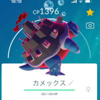 巨大すぎっっ……