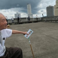 福井県庁屋上から眺望「地区老連、社会参加部会」企画・参加。