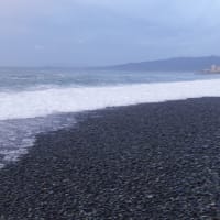 2025/05/11　日　国府津海岸