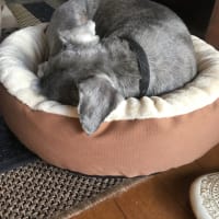 そろそろ、自信持っていきたい…