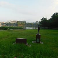 『朝散歩 7/8。』