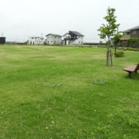 水戸の街区公園(2)
