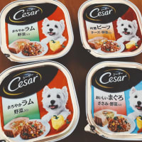 缶詰