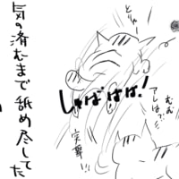 ふわふわボール似