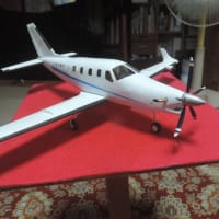 ぽー様のTBM900上塗り
