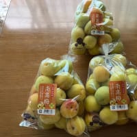 味比べ♪