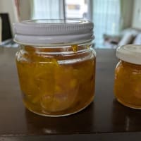 エアコンクリーニング　・　びわジャム　・　パソコン買い替え