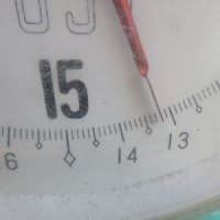 １０キロ越えです
