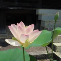 道成寺