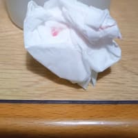 しんのすけ君の闘病日記