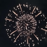 第36回なにわ淀川花火大会