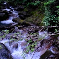 夏山登山-長野県茅野市：八ヶ岳・赤岳鉱泉
