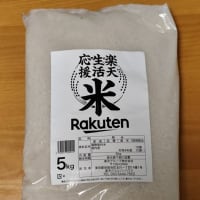 ババヤガの夜