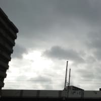 今日の博多３５１　【七夕ですが】