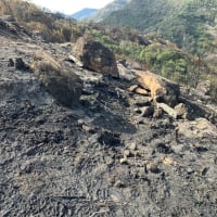 山火事2！