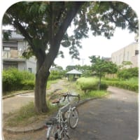 『合歓の木』…長泥の径