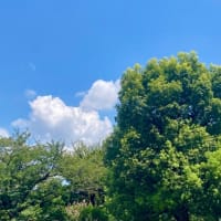 夏からの帰還