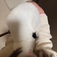 ご無沙汰しております🙇💦