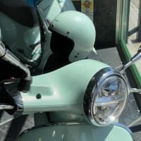 【自社キャンペーン】thee Mint campaign / ヘルメットプレゼント