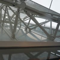 心斎橋のVUITTON