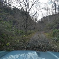 「煩悩林道2025」vol.11「大平川西の沢線」