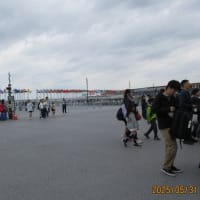 婿殿の厚意にEXPO 2025 大阪・関西万博見学