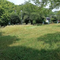 見かねた末に越境行為・・・