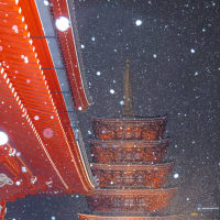 雪の浅草寺五重塔