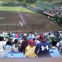 イースタン観戦。