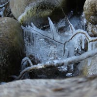 「流れの飛沫氷②」　いわき　夏井川渓谷にて撮影！