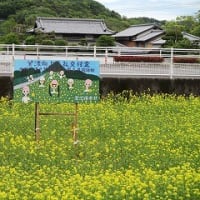 2025.5.2  探検DAY