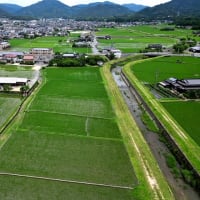 久しぶりのフライト