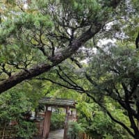 長岡京錦水亭へ