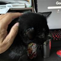 陰に潜みしもの・・・ｗ