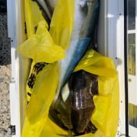 宝昌丸　最近の釣果