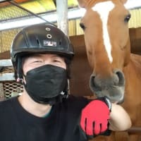 初乗馬でインストラクターも驚くほど馬に舐められまくった日。新しい友情・・・
