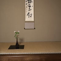 先週のお稽古風景です。