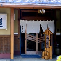 昼食は郷土料理をいただきました-三重県紀北町：「杉寿司」