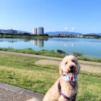 夏色