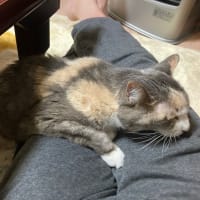 いくつになっても甘えん坊